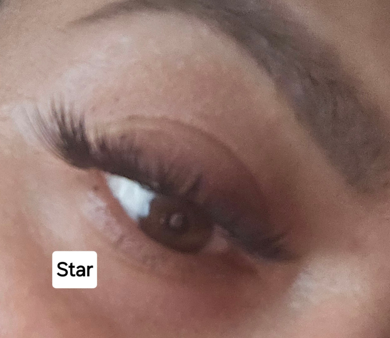 DIY Eyelash plastic case + bond and remover by MinuLashes
