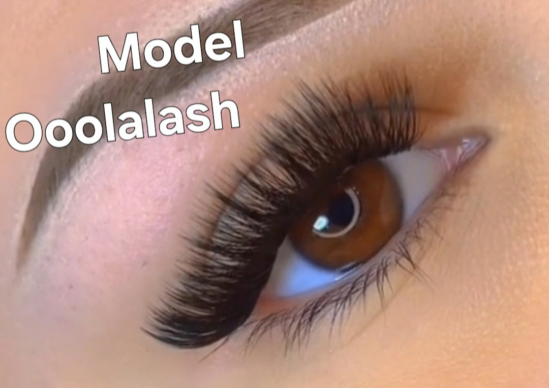 Your Ultimate Lash Solution at Home- Style Eyeconic, Baby doll, Amor, D'Queen,Oolalash Venus Lovelle