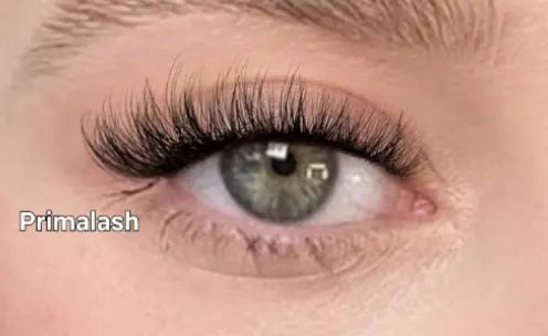 Primalash Curl C– DIY Cluster Lashes 72 pcs | Biodegradable | Unique Natural Look