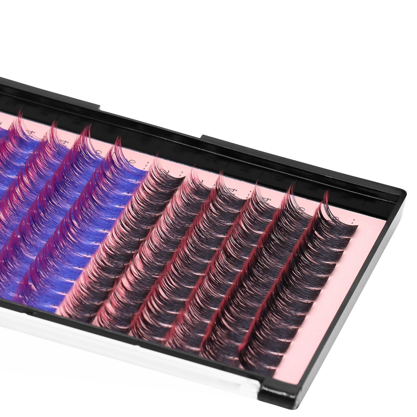 DIY Lash Clusters D-Curl Ombre โ Black to Color Fade by MinuLashes