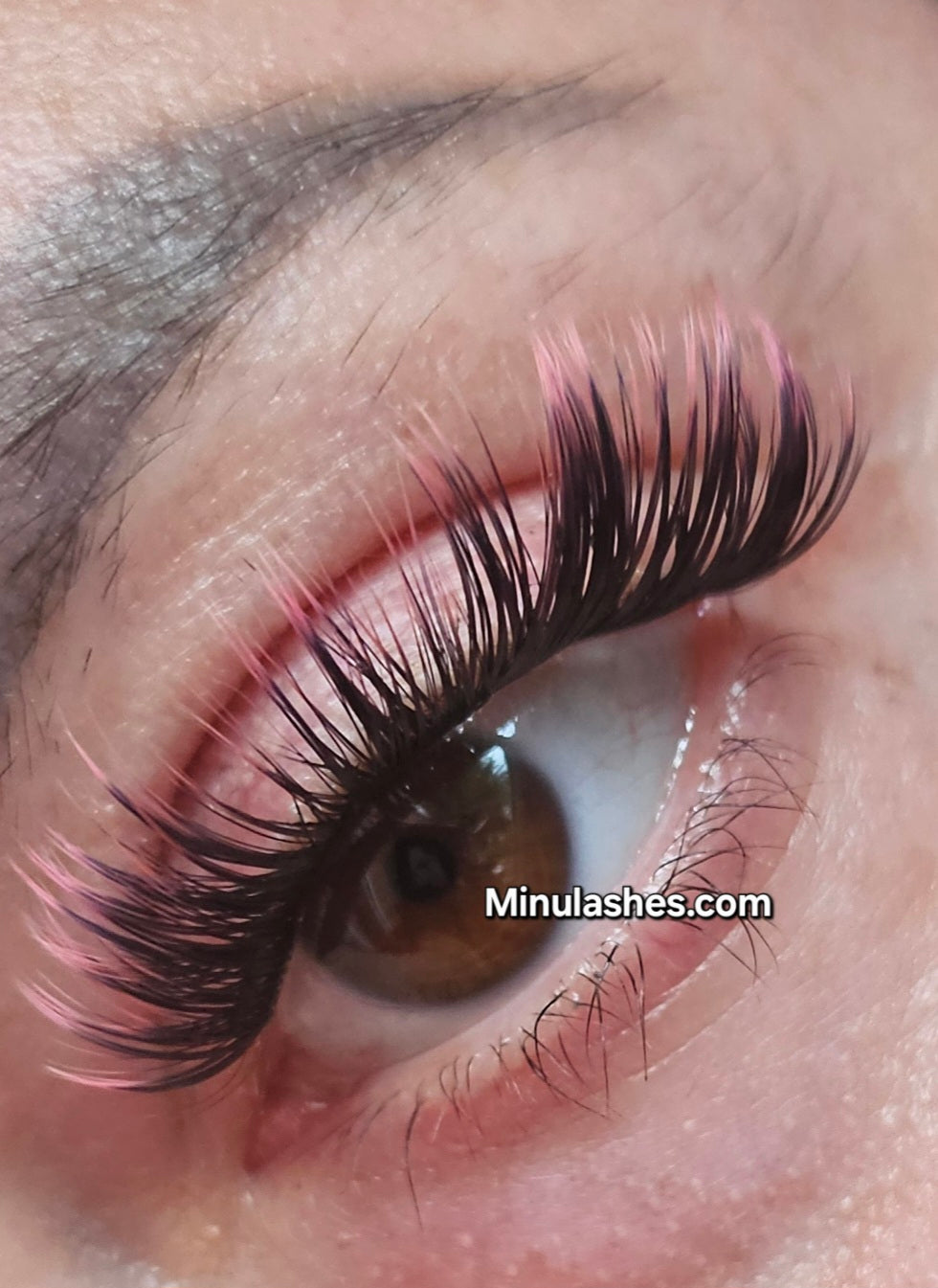 DIY Lash Clusters D-Curl Ombre – Black to Color Fade by MinuLashes