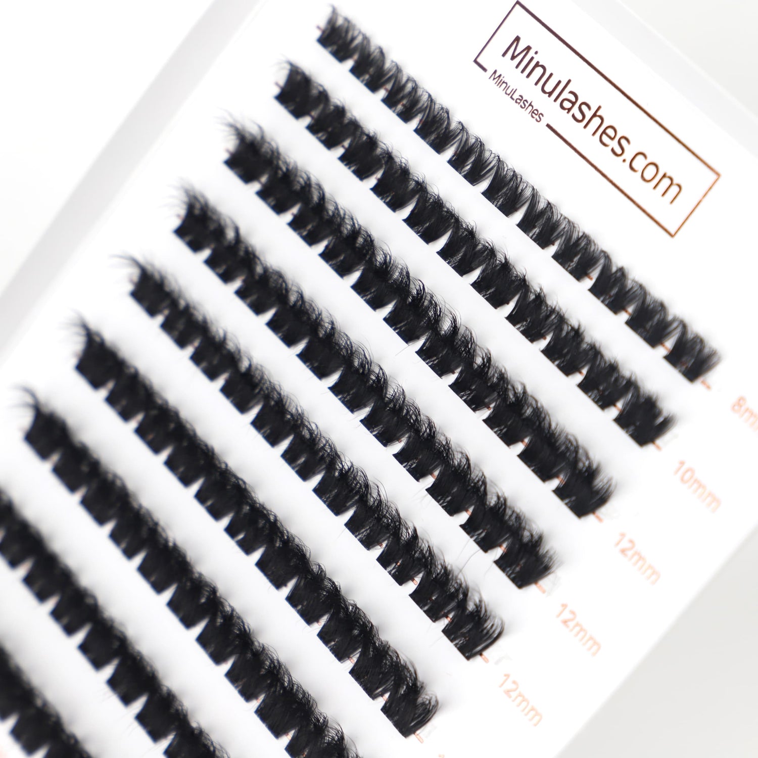 Lashes