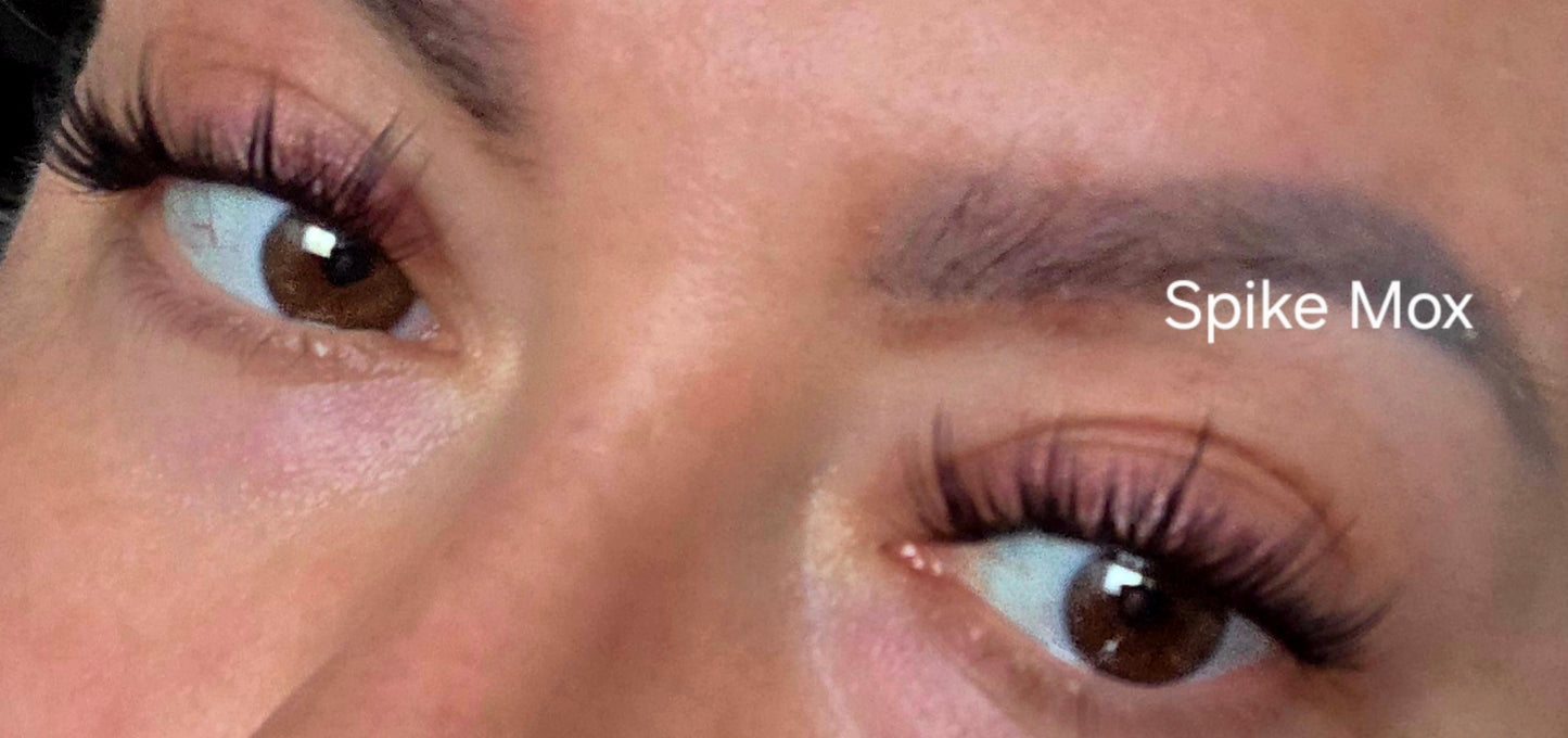 Spike Mox Lash Extensions 8–16 mm D Curl