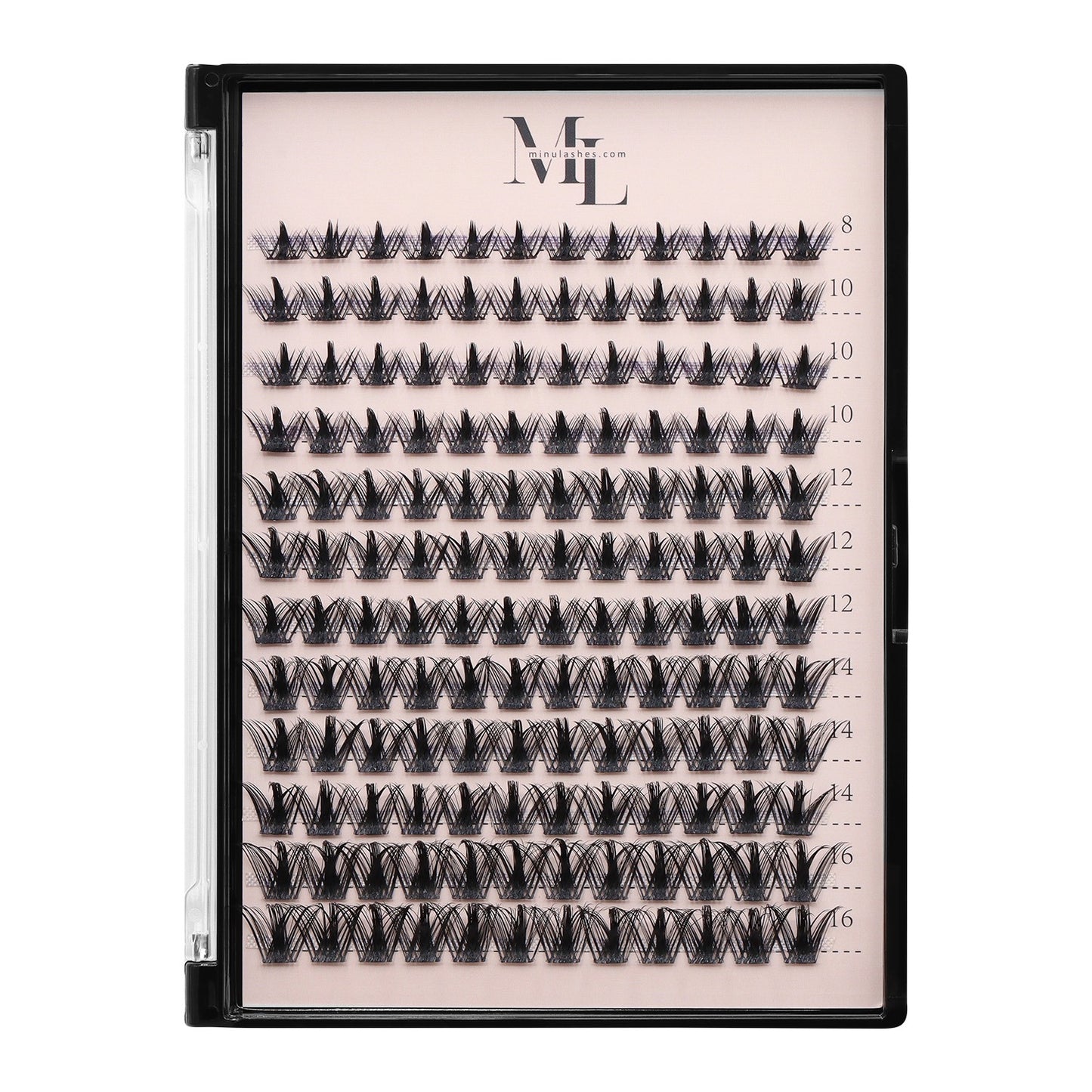 Angela Wispy Lash Extensions 8–16 mm D Curl